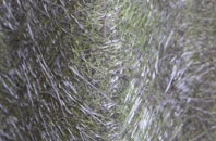 Longport fibreglass roof work